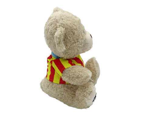Teddy Bear with Valencia T-shirt 27cm
