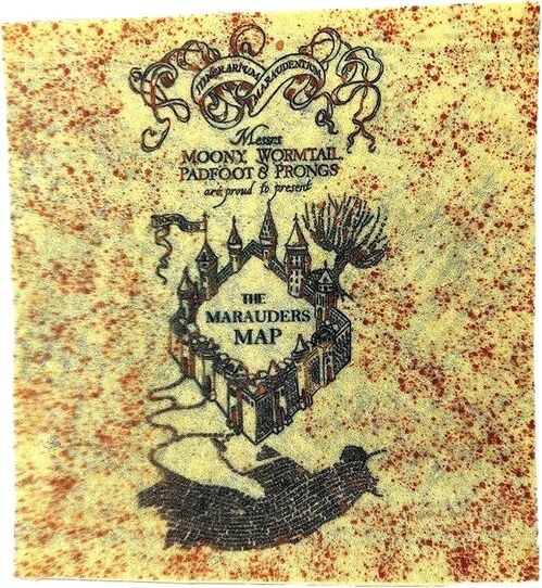 Harry Potter sitting with Map 3Mod ASST 25cm