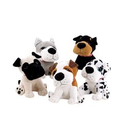 Sleepy Dogs 20cm 5Mod ASST