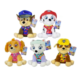 Paw Patrol Plush Sitting 5 Assorted 25cm