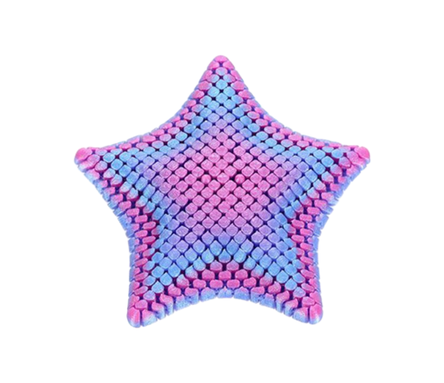 The BEE 3D structure 13cm - starfish