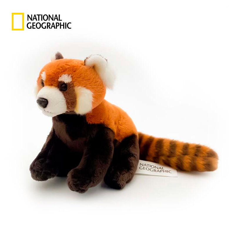 Red Panda National Geographic 18cm - Market Plush 2024